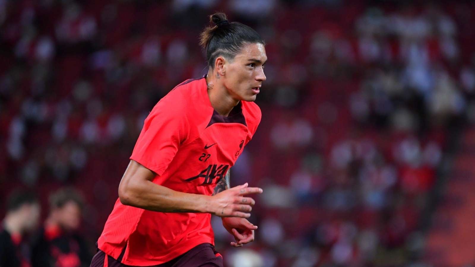 菜鸟魔仙哥 菜鸟魔仙哥