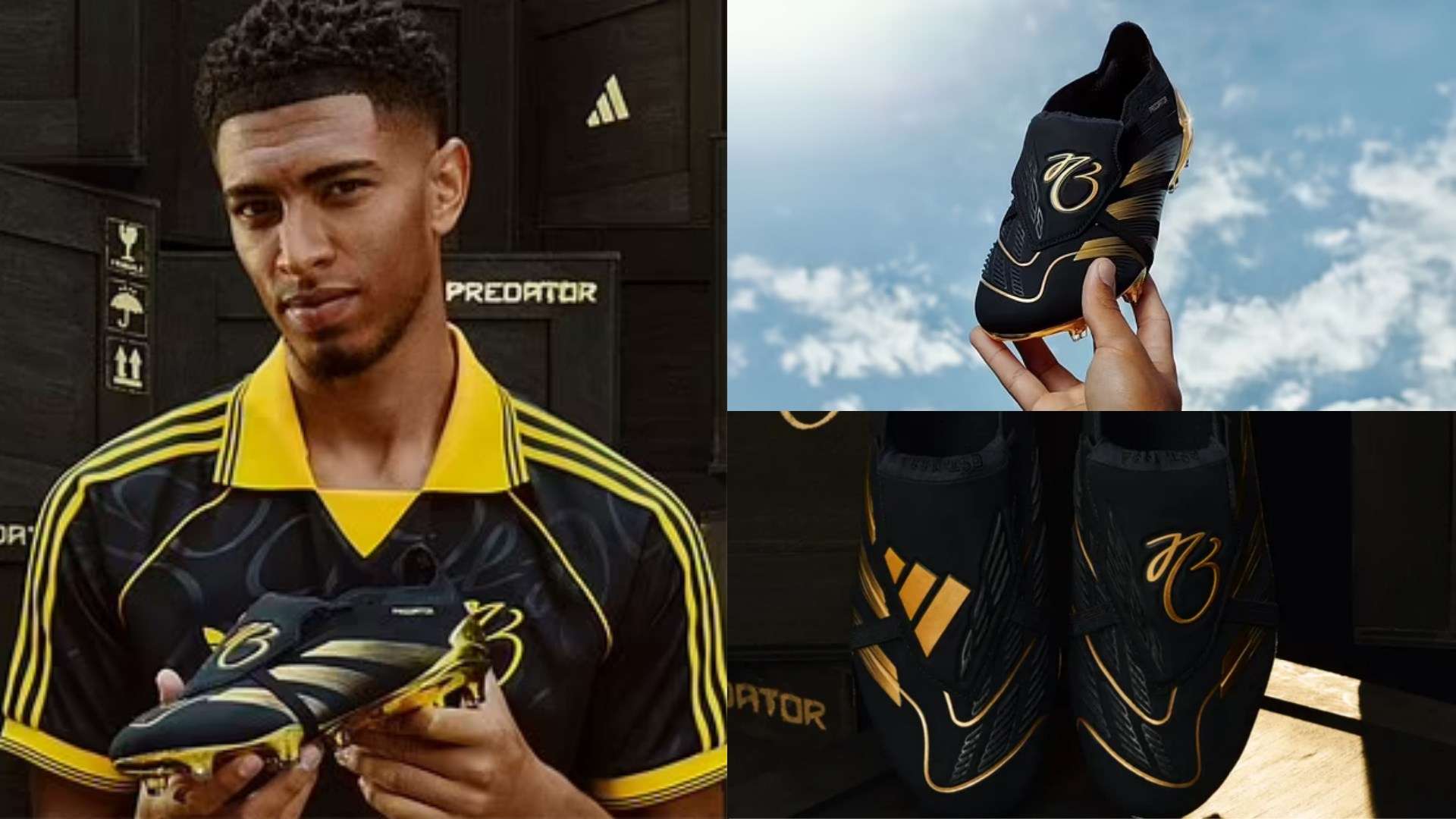 陣容煥然一 陣容煥然一